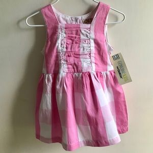 NWT Pink gingham 12M Dress